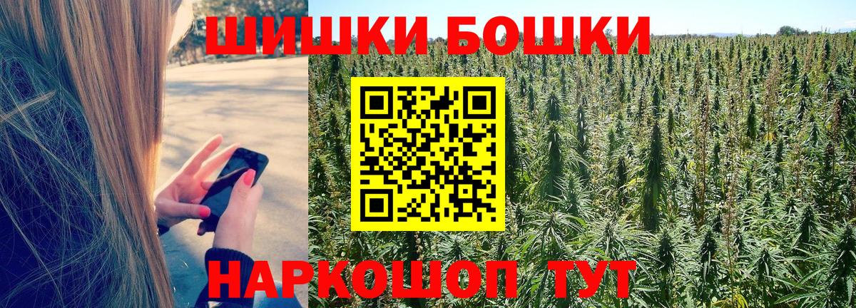 Бошки марихуана сатива  Вход с VPN  Тверь  Марихуана семена  Каннабис семена 